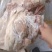 无耳头，日期新鲜，厂家直销，一手货源，价格美丽，售后无忧