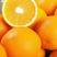 秭归伦晚脐橙湖北橙子现摘现发纯甜多汁对接全国市场