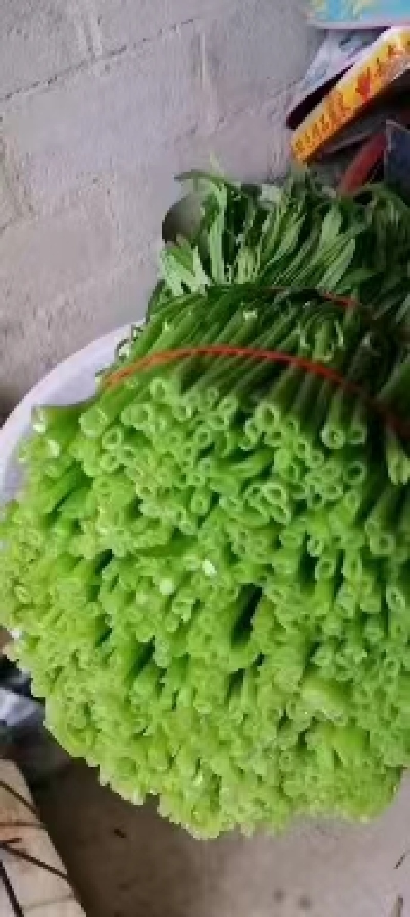 空心菜广西种植基地供货，量大从优长期供应欢迎电联采购