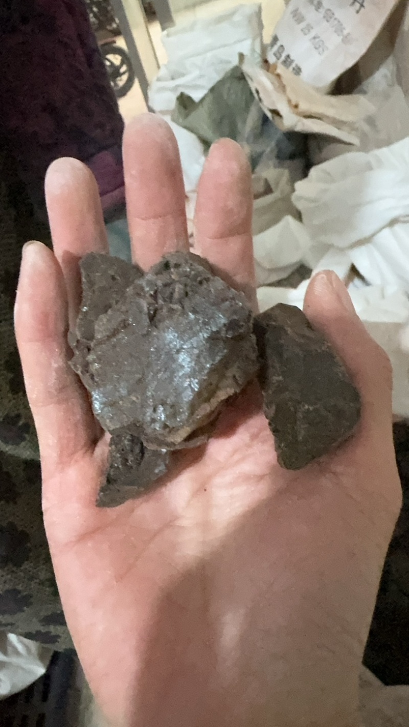 儿茶孩儿茶乌爹泥乌丁泥实拍儿茶二茬