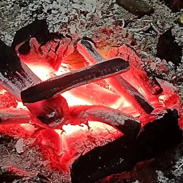 荔枝精品果木炭，高温无烟，无水分！