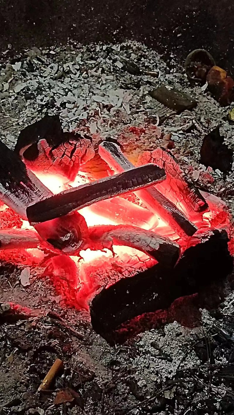荔枝精品果木炭，高温无烟，无水分！