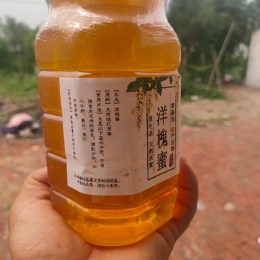 过完年，蜂蜜给代理发货