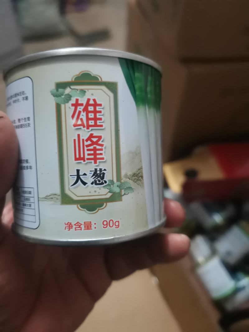 铁杆葱苗
