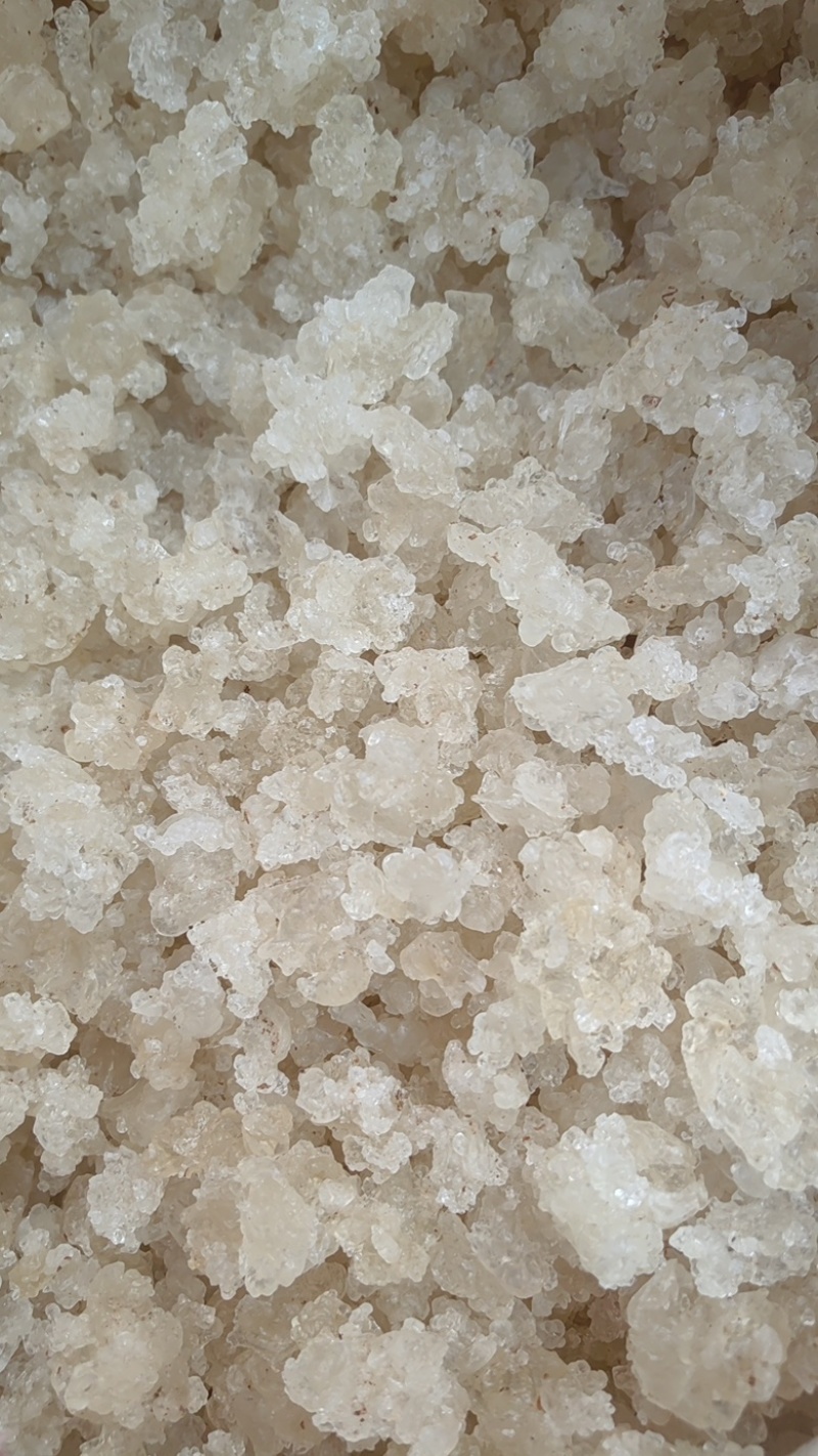 拉丝雪燕