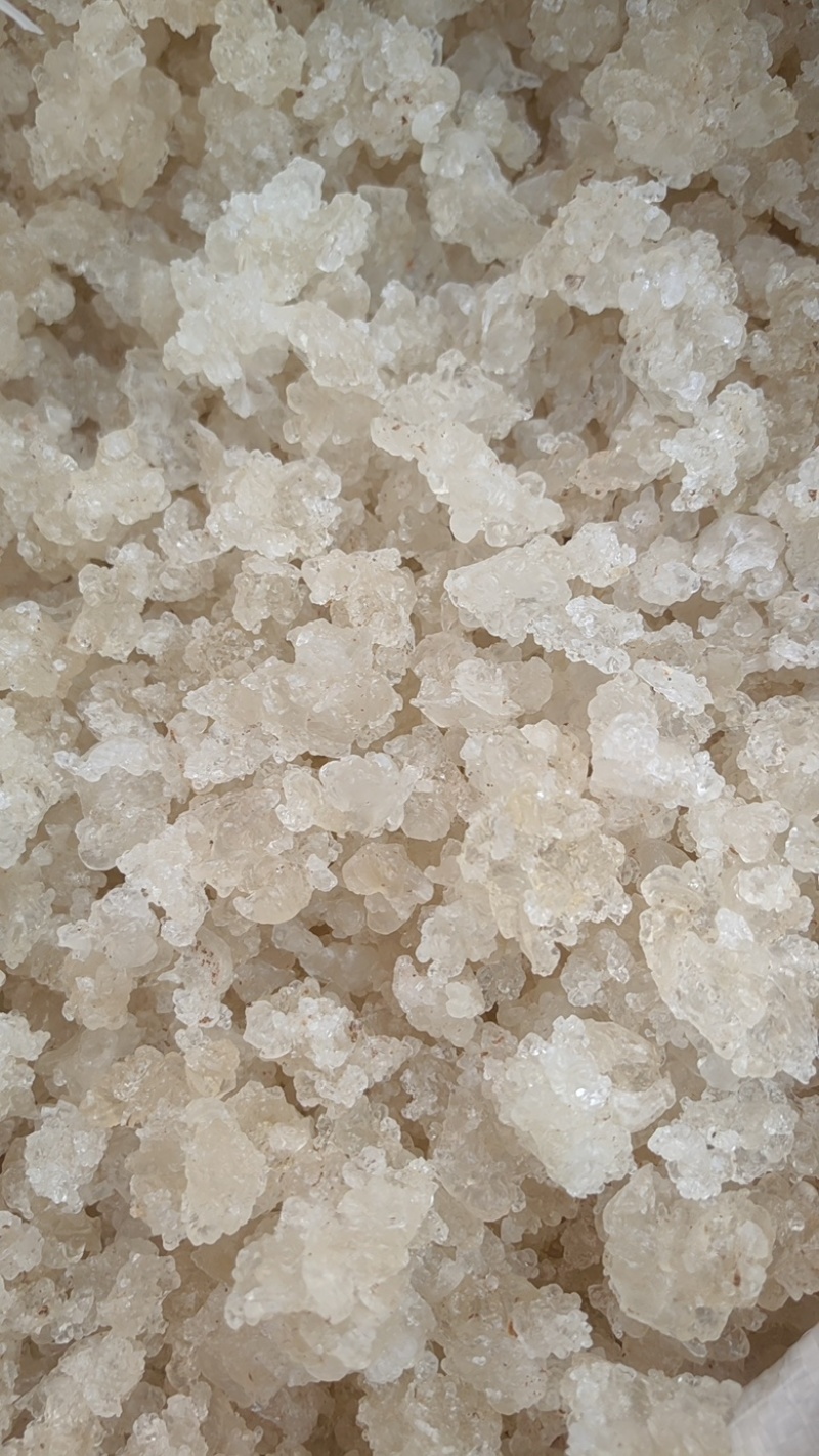 拉丝雪燕