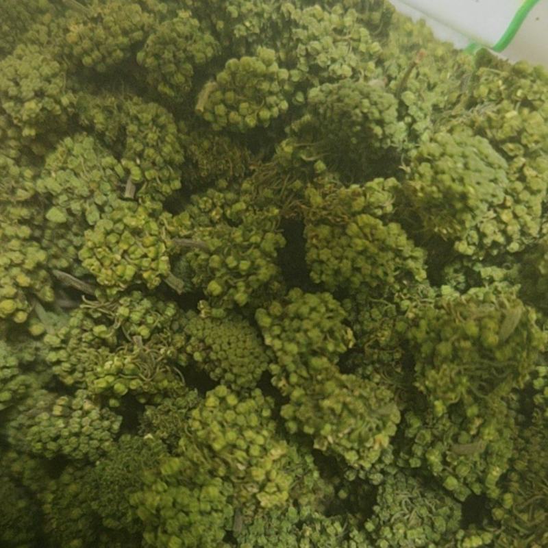 三七花干货三年三七花欢迎选购！量大从优！