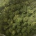 三七花干货三年三七花欢迎选购！量大从优！