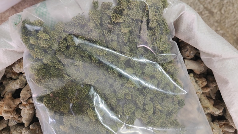三七花干货三年三七花欢迎选购！量大从优！