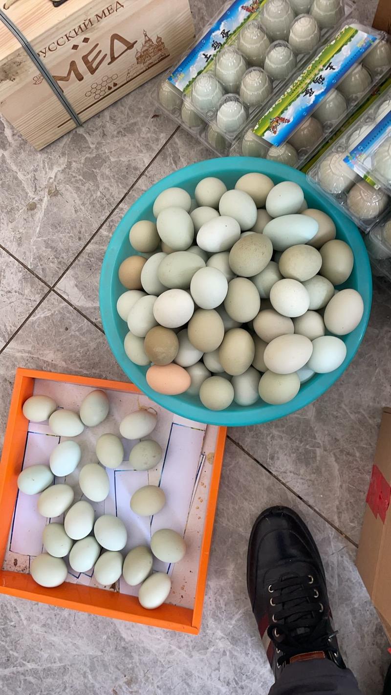 黑龙江省哈尔滨市农家笨鸡蛋，口感好营养丰富，批发零售均可