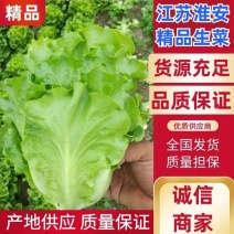 意大利生菜江苏生菜新鲜采摘自家种植价格远低于同行欢迎