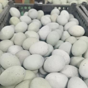 徐州特产松花皮蛋，精品蛋，麻壳蛋，供应电商商超大集