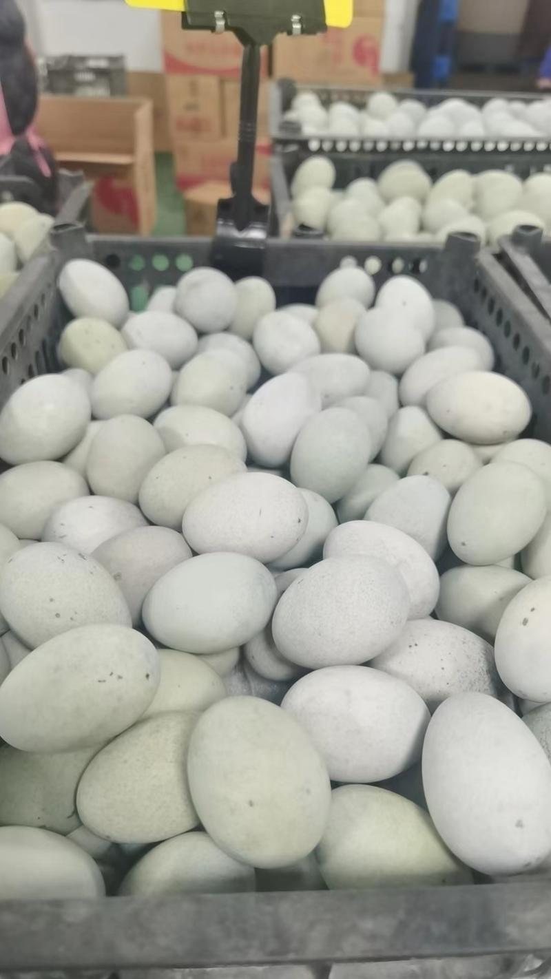 徐州特产松花皮蛋，精品蛋，麻壳蛋，供应电商商超大集