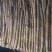 白玉大通货