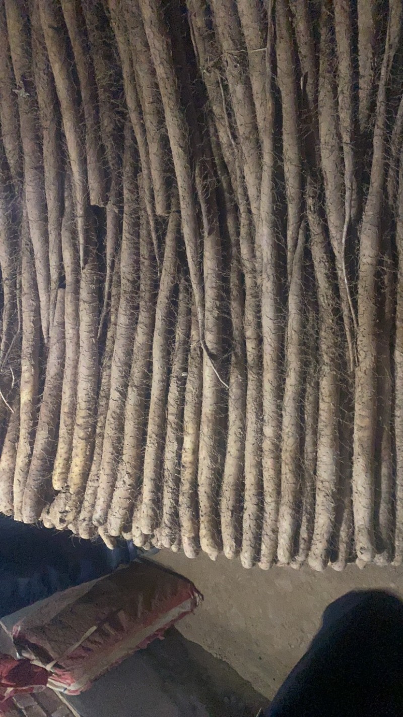 白玉大通货