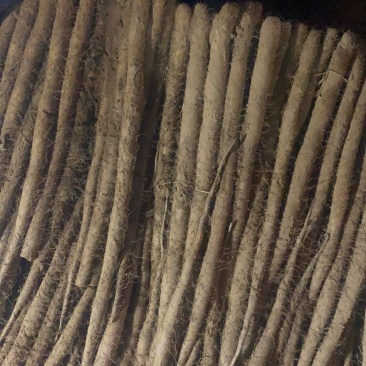 白玉大通货