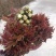 贵州香椿菜香椿芽红香椿