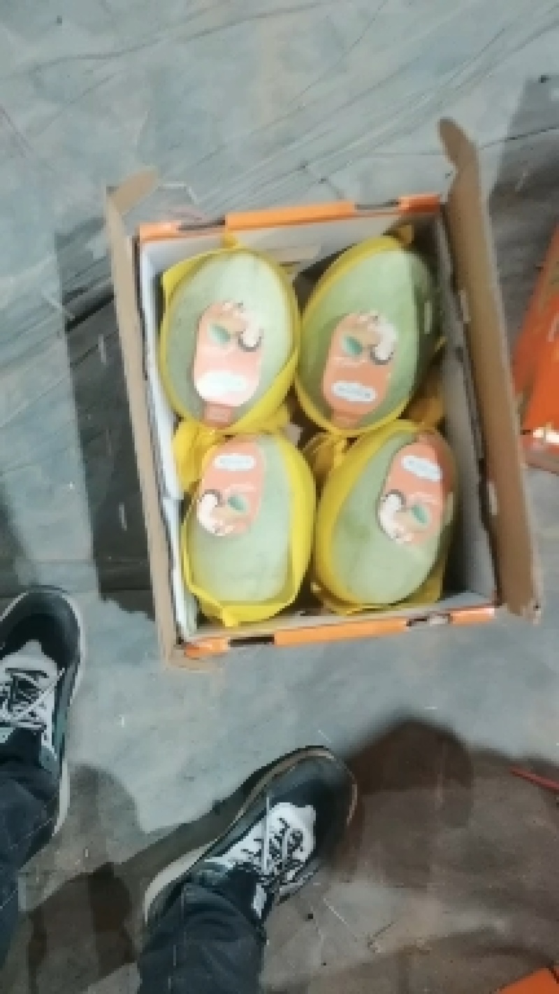 海南晓蜜25哈密瓜产地直发专业代办代发一条龙服务欢迎来电