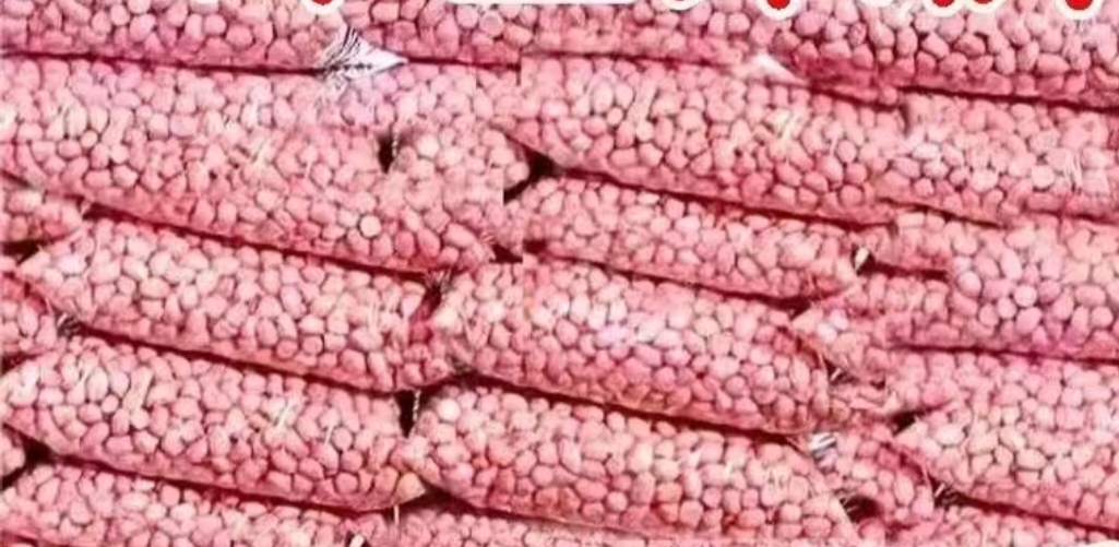 红皮花生成品包装展示图,展示不同产地的精品红皮花生袋装和礼盒装产品 红皮花生成品包装展示图