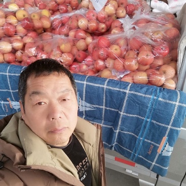 纸代富士