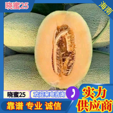 海南晓蜜25哈密瓜产地直发专业代办代发一条龙服务欢迎来电