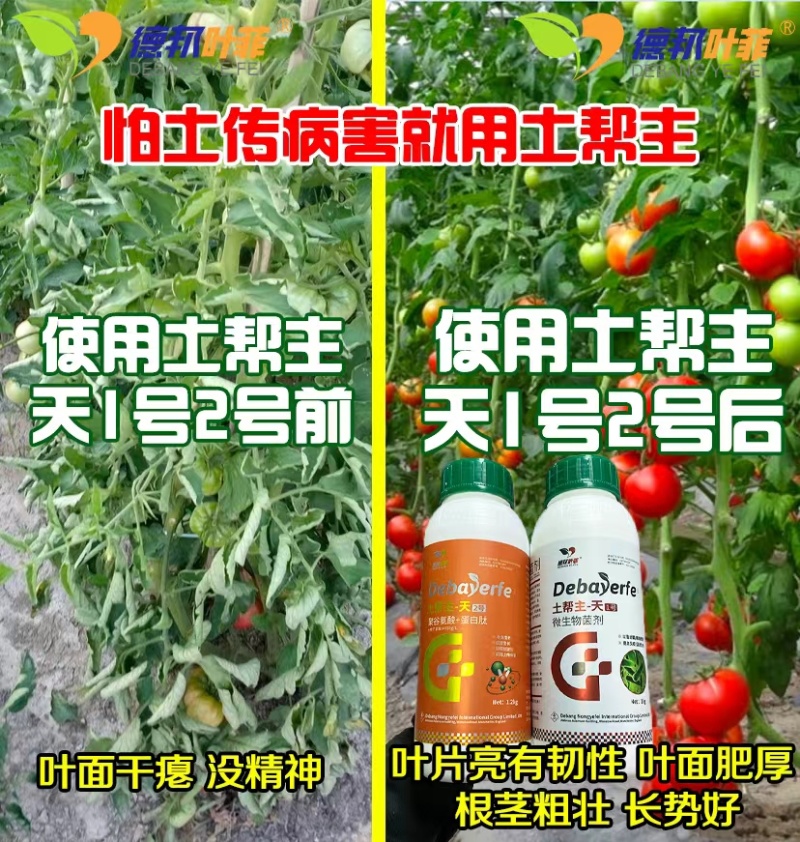 高抗重茬，铲除土传病菌，减少连作障碍，针对死苗烂根，根腐