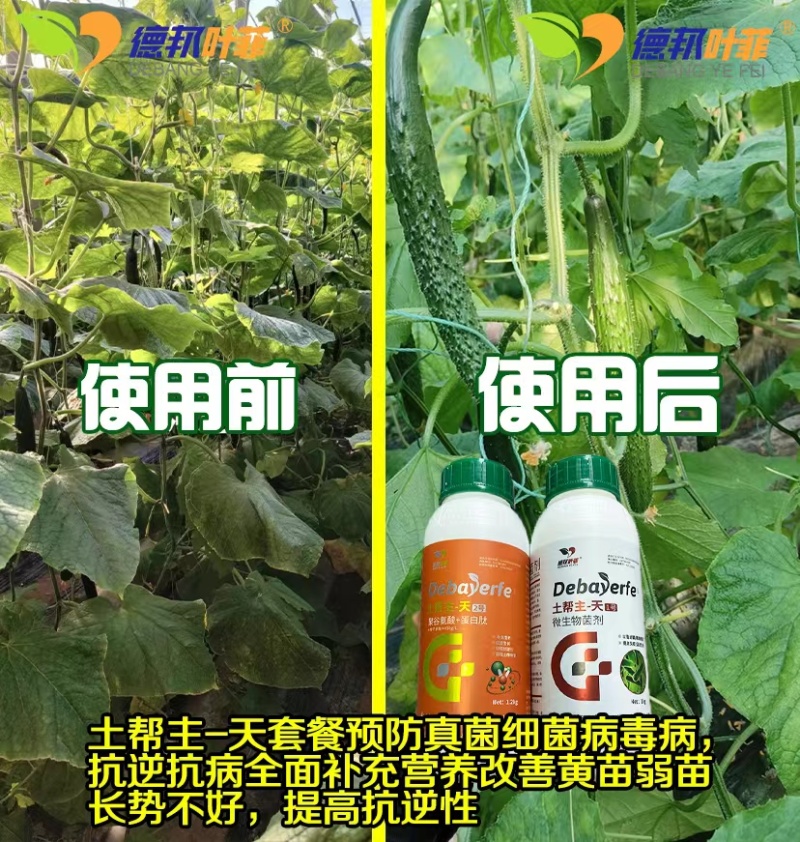 高抗重茬，铲除土传病菌，减少连作障碍，针对死苗烂根，根腐