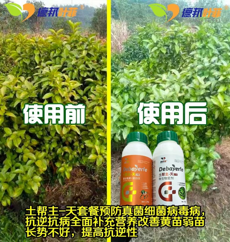 高抗重茬，铲除土传病菌，减少连作障碍，针对死苗烂根，根腐