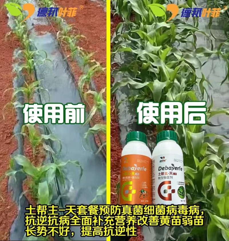 高抗重茬，铲除土传病菌，减少连作障碍，针对死苗烂根，根腐