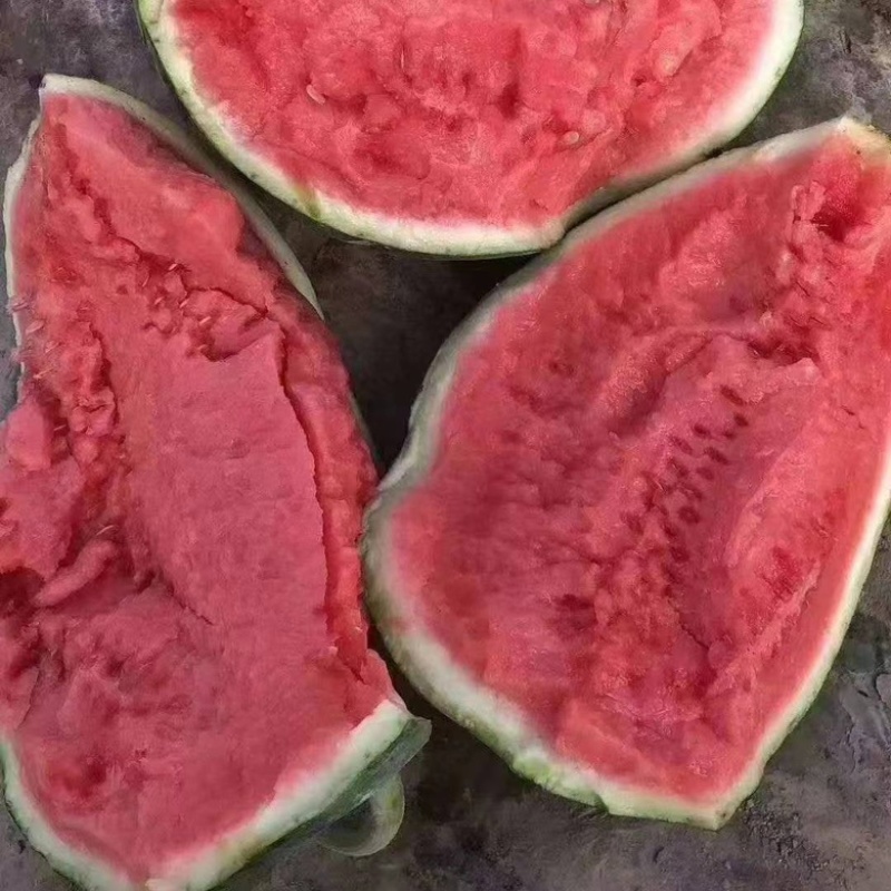 精品无籽美都/产地直发/一手货源/物美价廉/欢迎致电