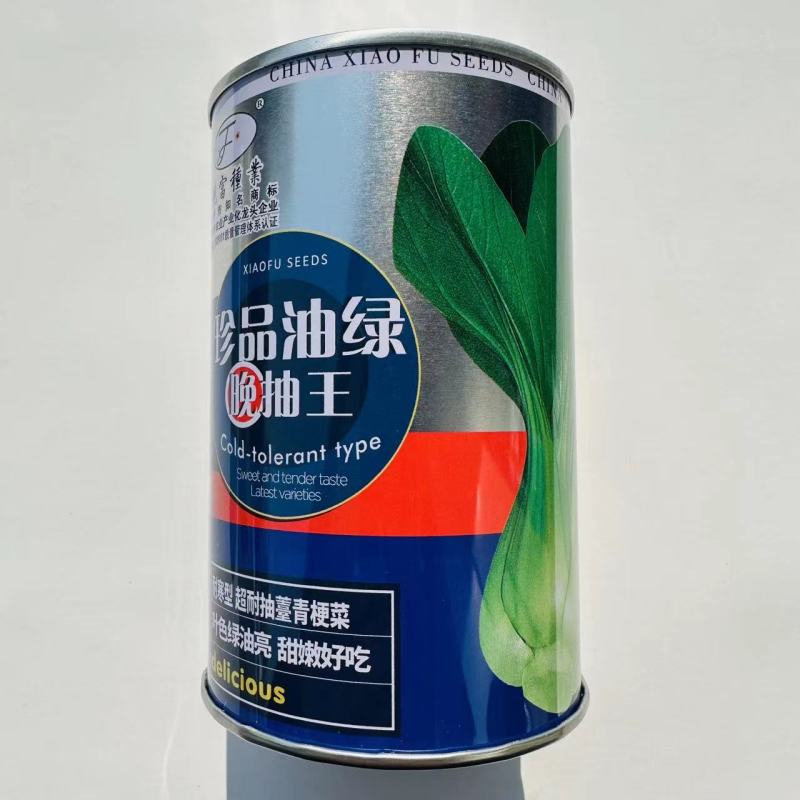珍品油绿晚抽王青梗菜种子油亮小青菜种子耐寒耐抽薹冬春蔬菜