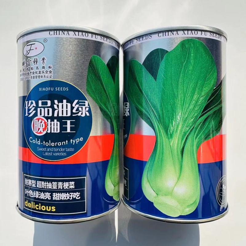 珍品油绿晚抽王青梗菜种子油亮小青菜种子耐寒耐抽薹冬春蔬菜
