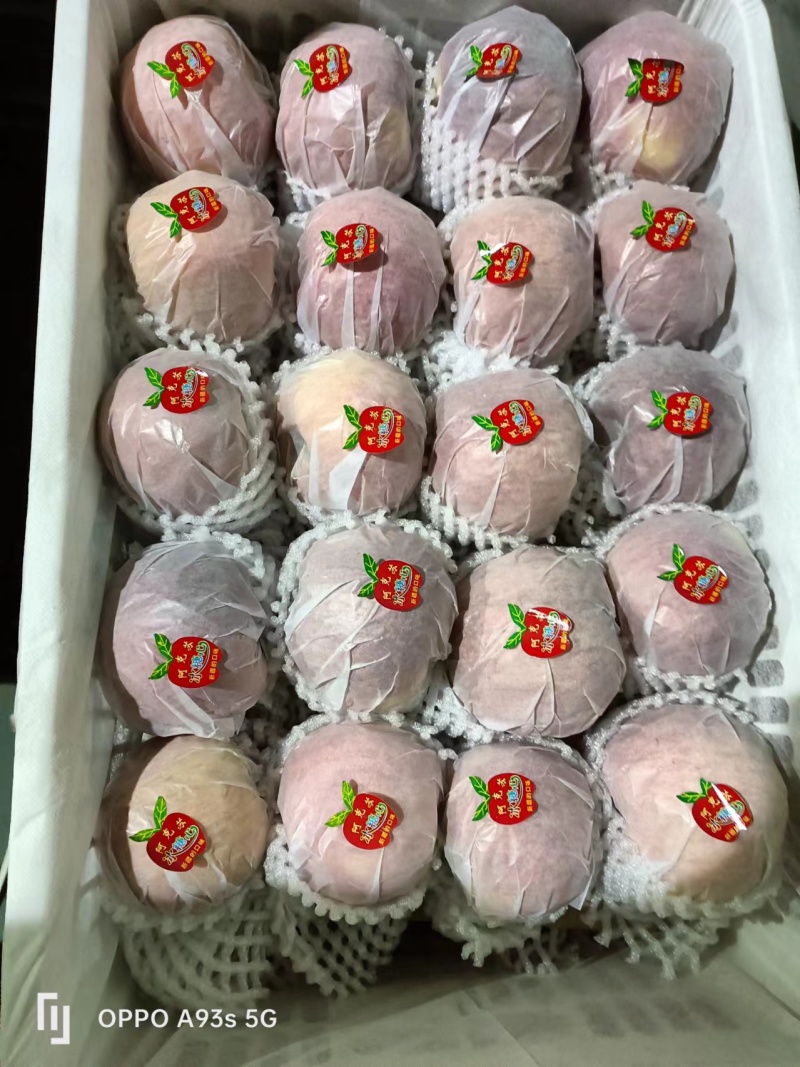 精品苹果冰糖心苹果货源充足量大从优质量保证欢迎咨询