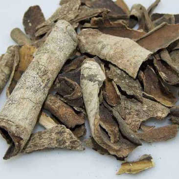 救必应保庆药业批发求必应