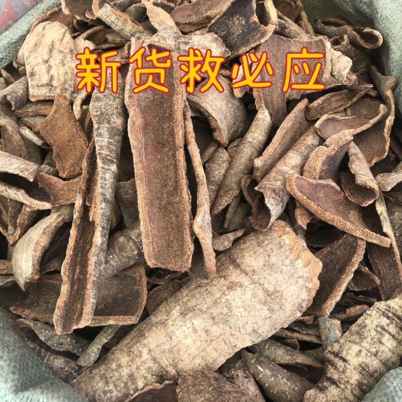 救必应保庆药业批发求必应