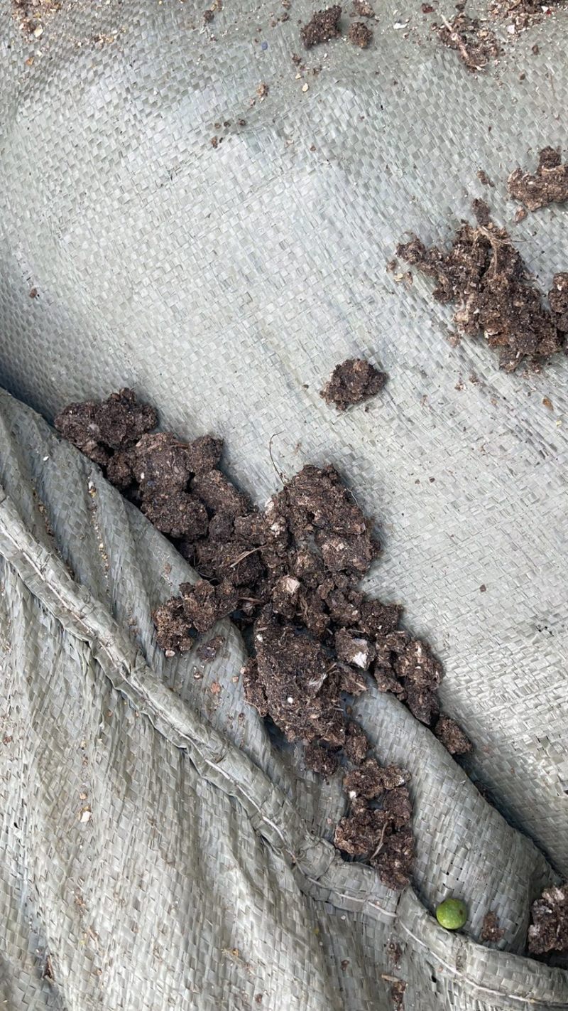 江苏泰州有机肥禽畜粪便大包纯干鸡粪水泥地晾晒无杂质常年供应