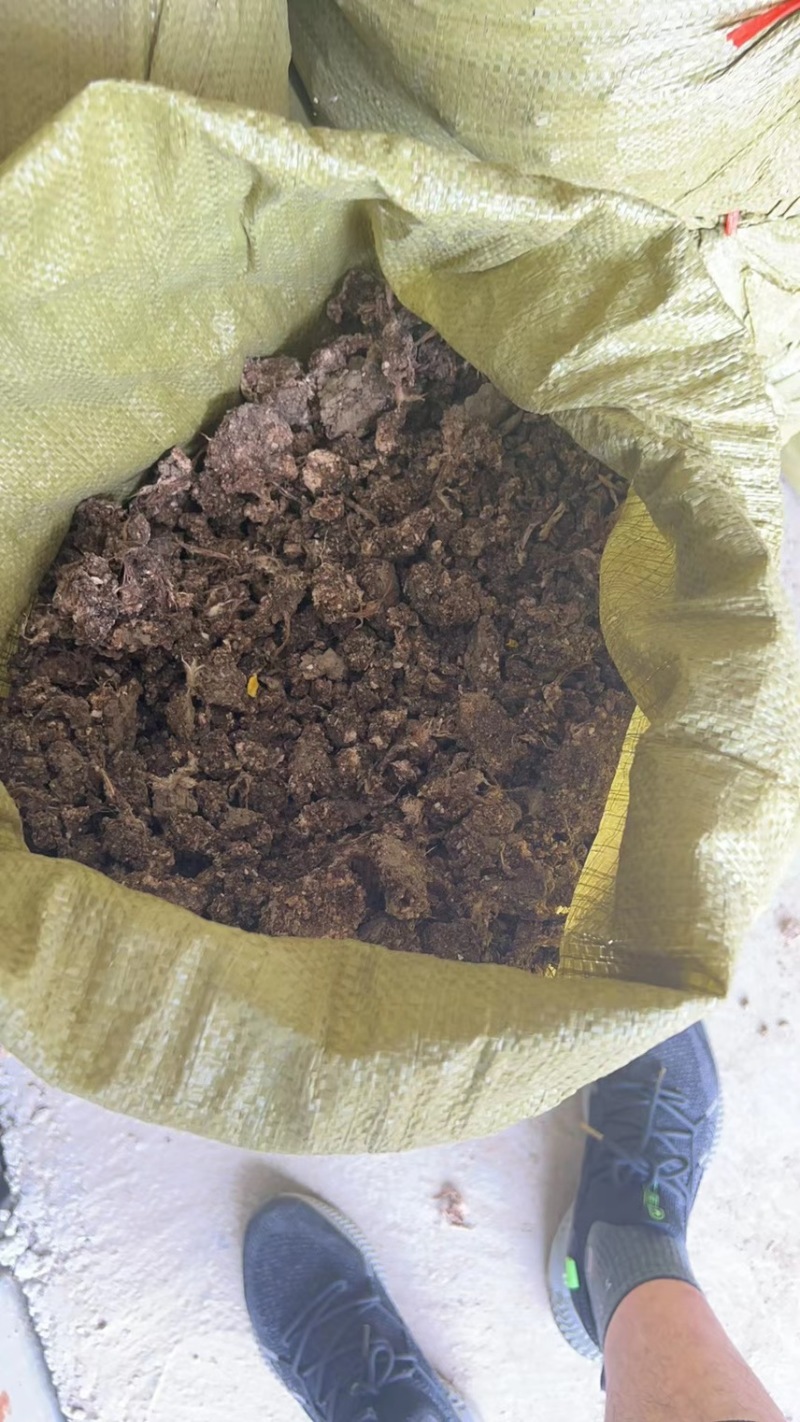 江苏泰州有机肥禽畜粪便大包纯干鸡粪水泥地晾晒无杂质常年供应