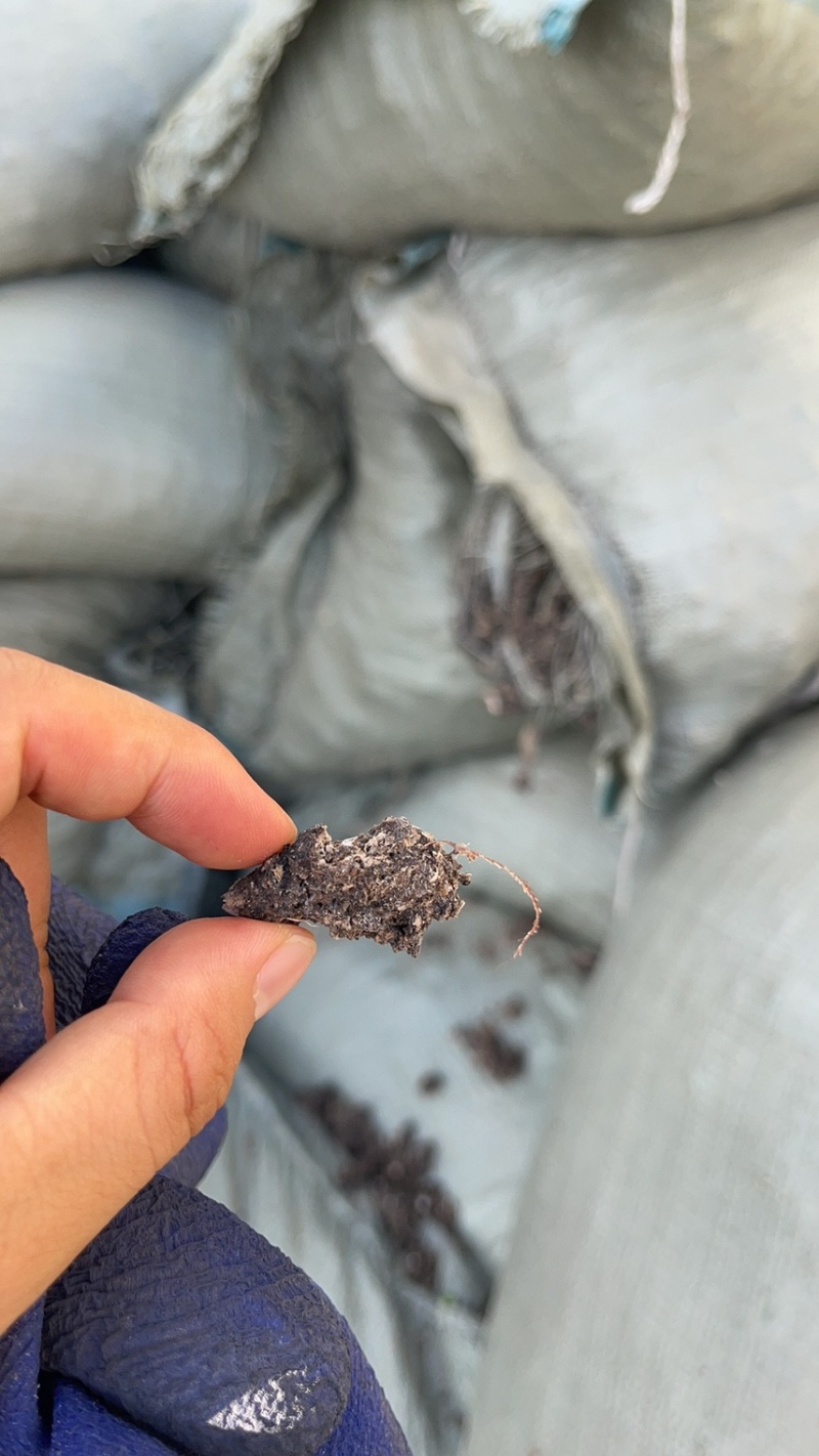 江苏泰州有机肥禽畜粪便大包纯干鸡粪水泥地晾晒无杂质常年供应