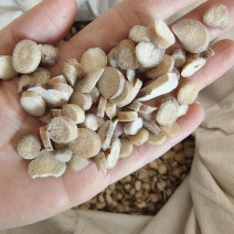 白芍小选货祥泰药材栈中药材批发零售实物拍摄量多从优欢