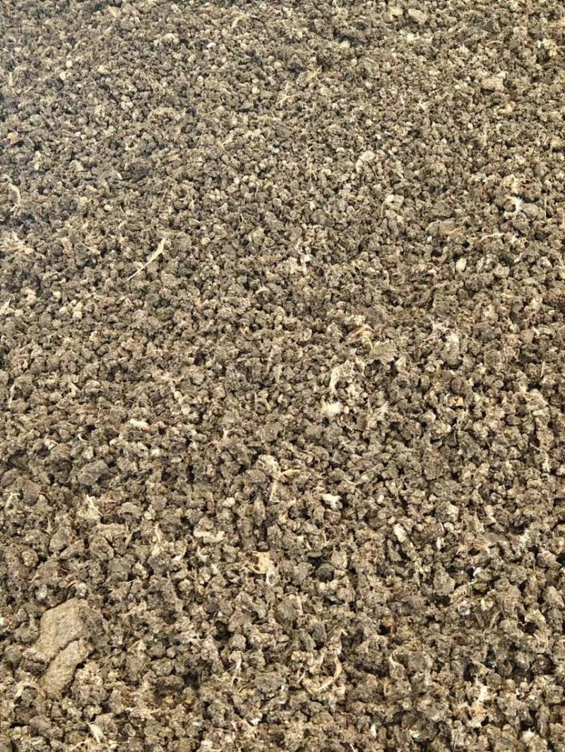 江苏省淮安淮阴区有机肥禽畜粪便鹌鹑粪水泥晾晒无杂质常年供应