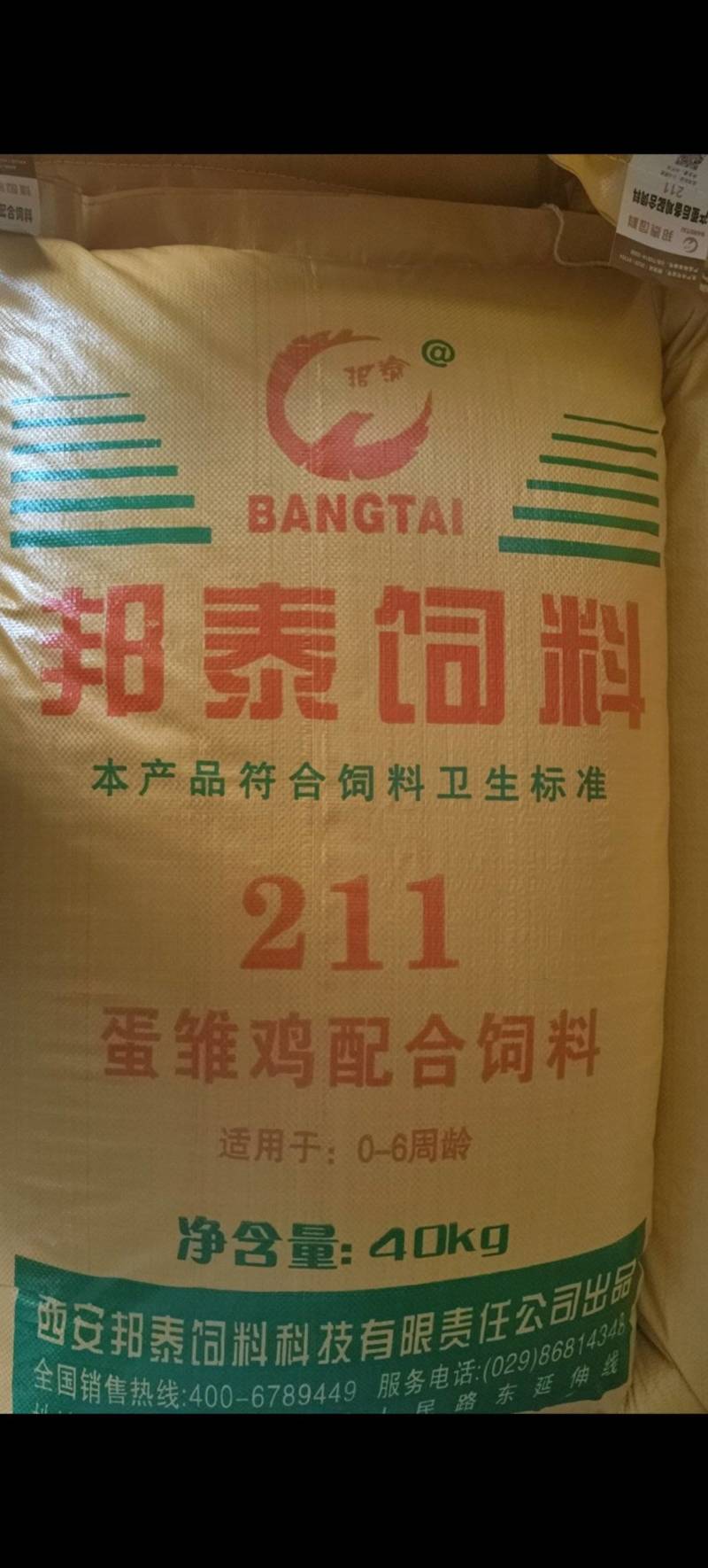 蛋雏鸡配合饲料，211蛋雏鸡配合饲料