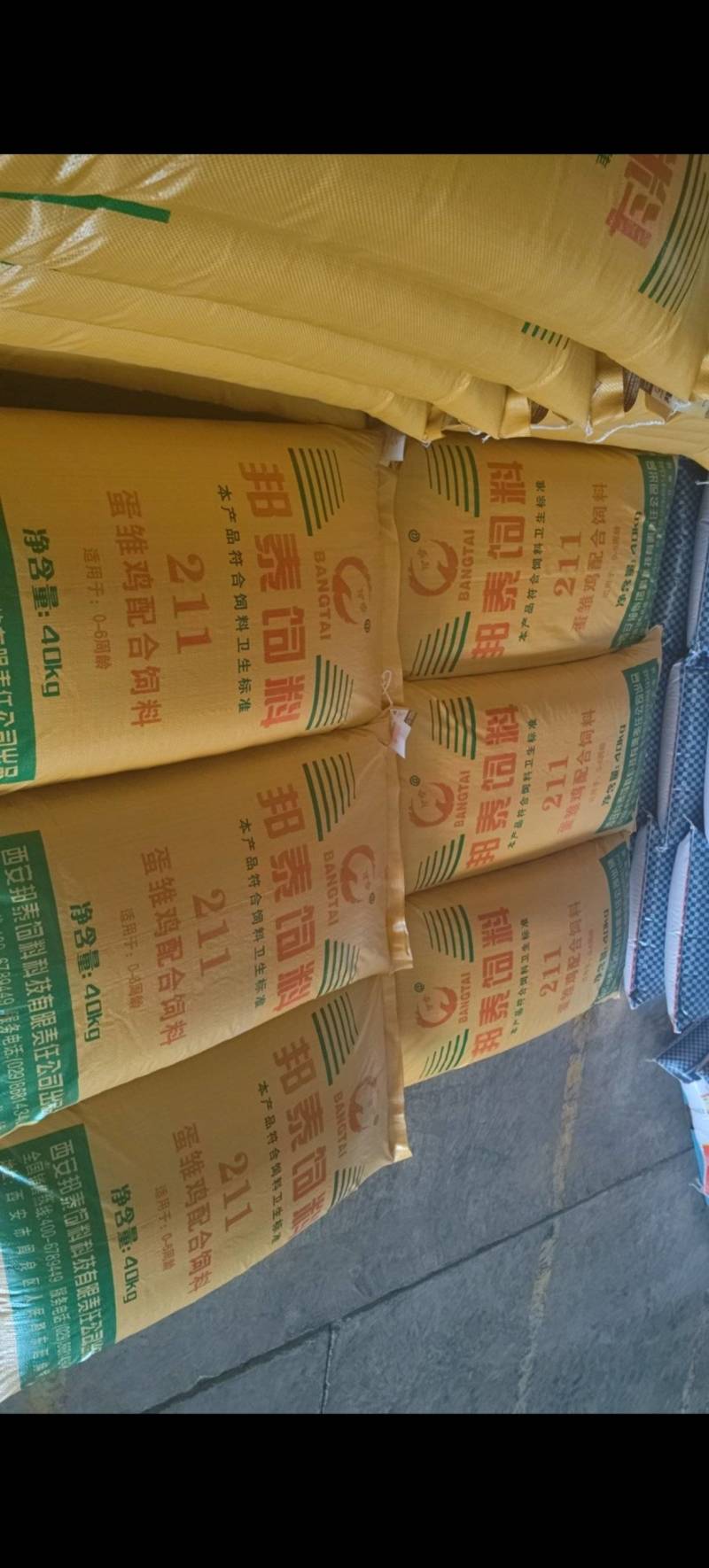 蛋雏鸡配合饲料，211蛋雏鸡配合饲料