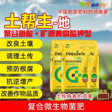 聚谷氨酸+矿源黄腐酸钾型