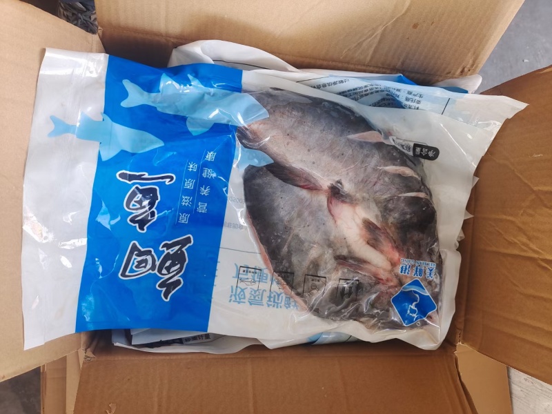 开背清江鱼，活鱼加工，液氮速冻，去腥处理，烤鱼半成品