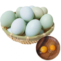 黑龙江精品绿壳鸡蛋大量供应自己的养殖场新鲜发货营养丰富