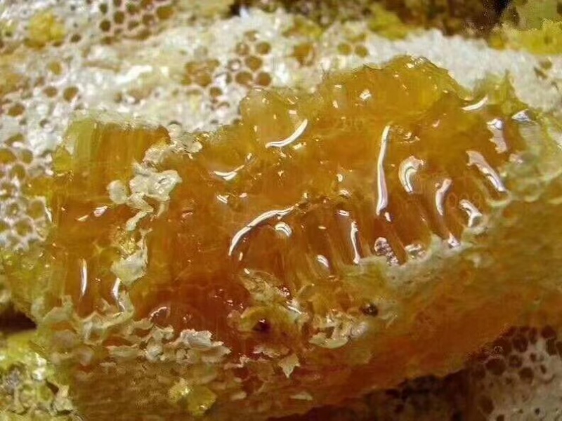 土蜂蜜，可现场割