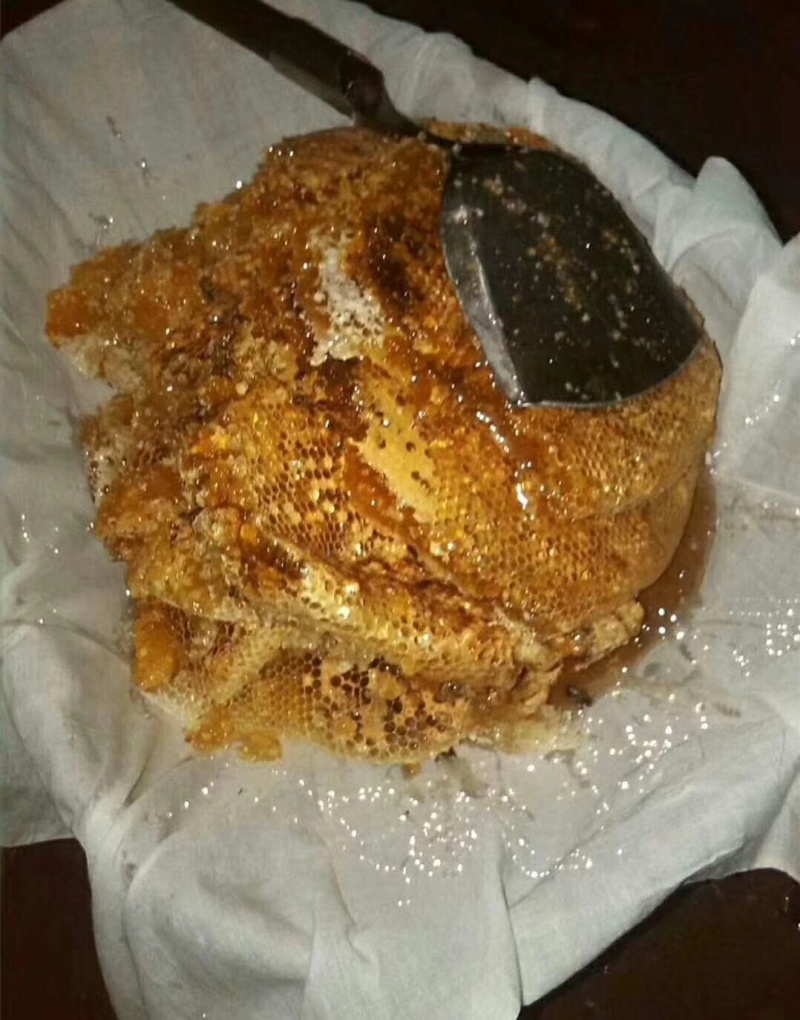 土蜂蜜，可现场割