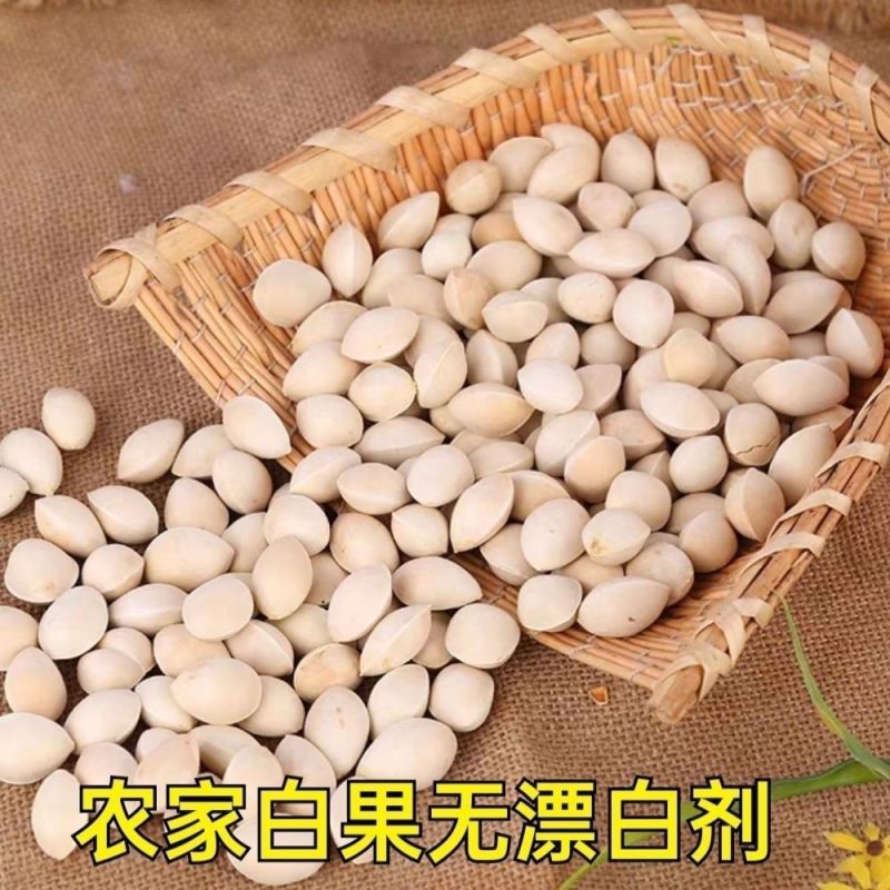 2023年新鲜生白果银杏果新鲜特级泰兴白果子大果带壳煲汤