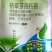 细卡斯枯草芽孢杆菌东生芽孢杀菌剂微生物菌剂