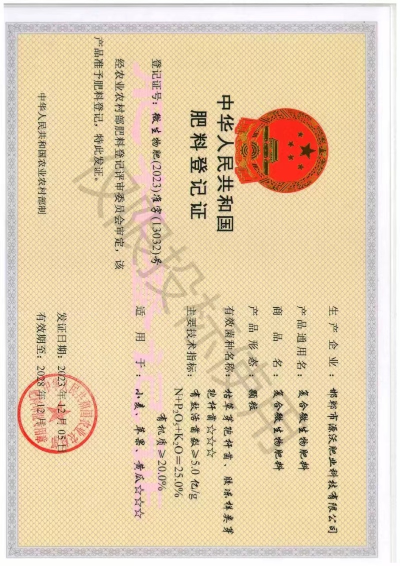 脉黄金，叶面肥，小麦高产，抗寒抗旱，籽粒饱满，返青快
